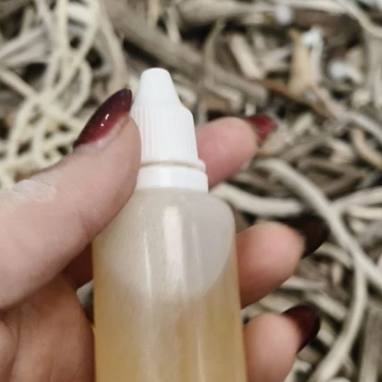 鹿角鹿角鹿角鹿角鹿角