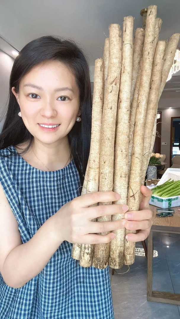 x新鲜现挖黄皮牛蒡整根5斤装安疗榨汁徐州养生绿色蔬菜黄金膀榜旁