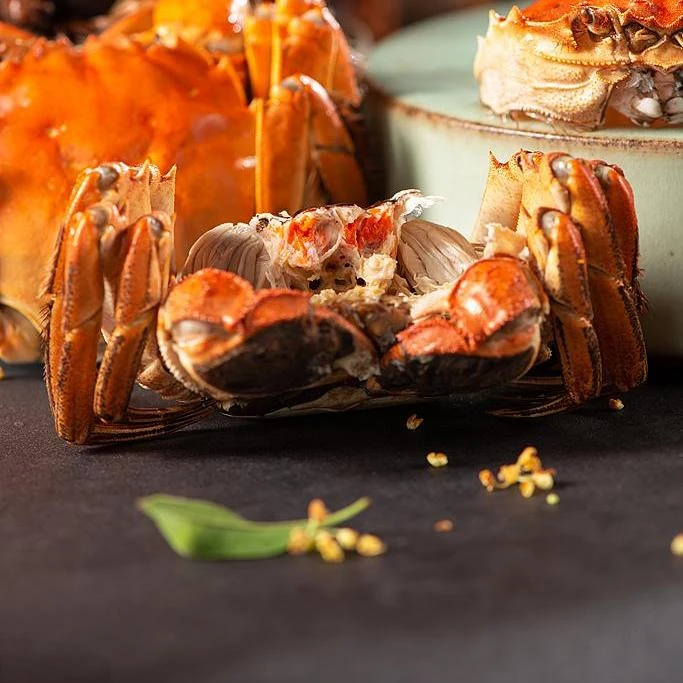 【活蟹】苏州大闸蟹公蟹5.0-4.7两+母蟹4.0-3.7两 拍8送2到手10只