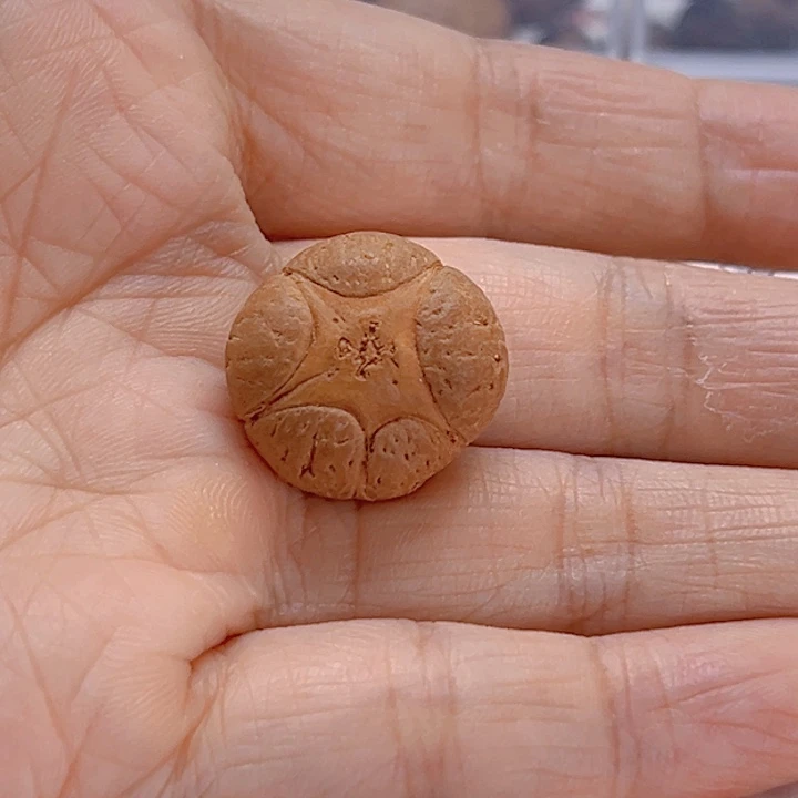 蓝***伊吊坠凤眼菩提20老籽五星亏出81@0690