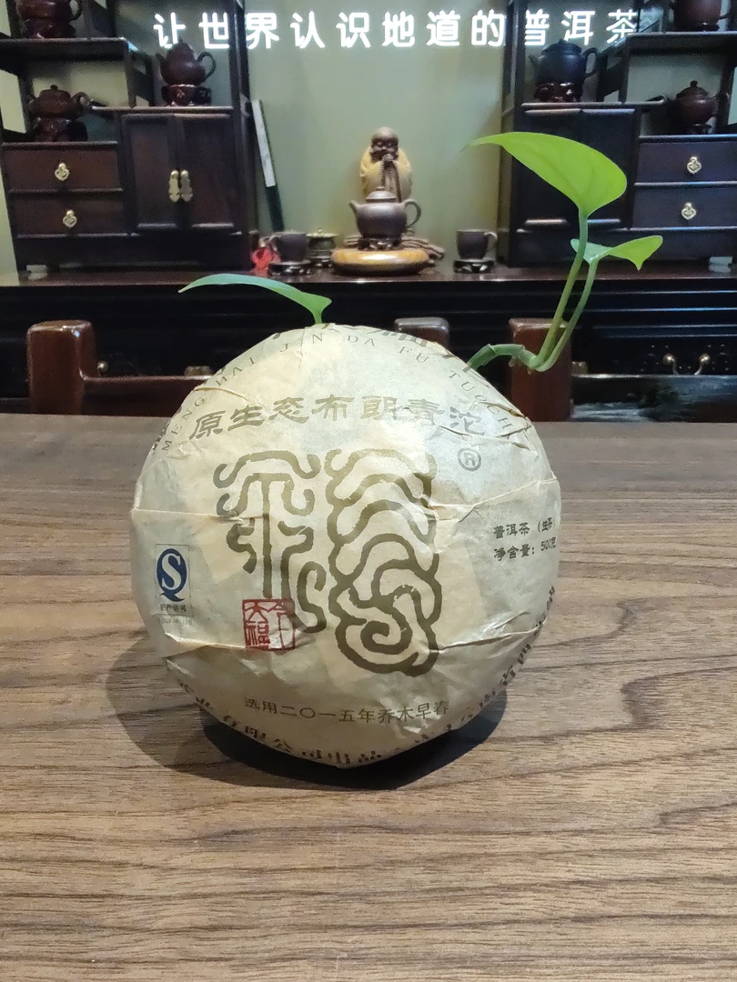 今D福2017年原生态布朗青沱（生茶）500克/沱