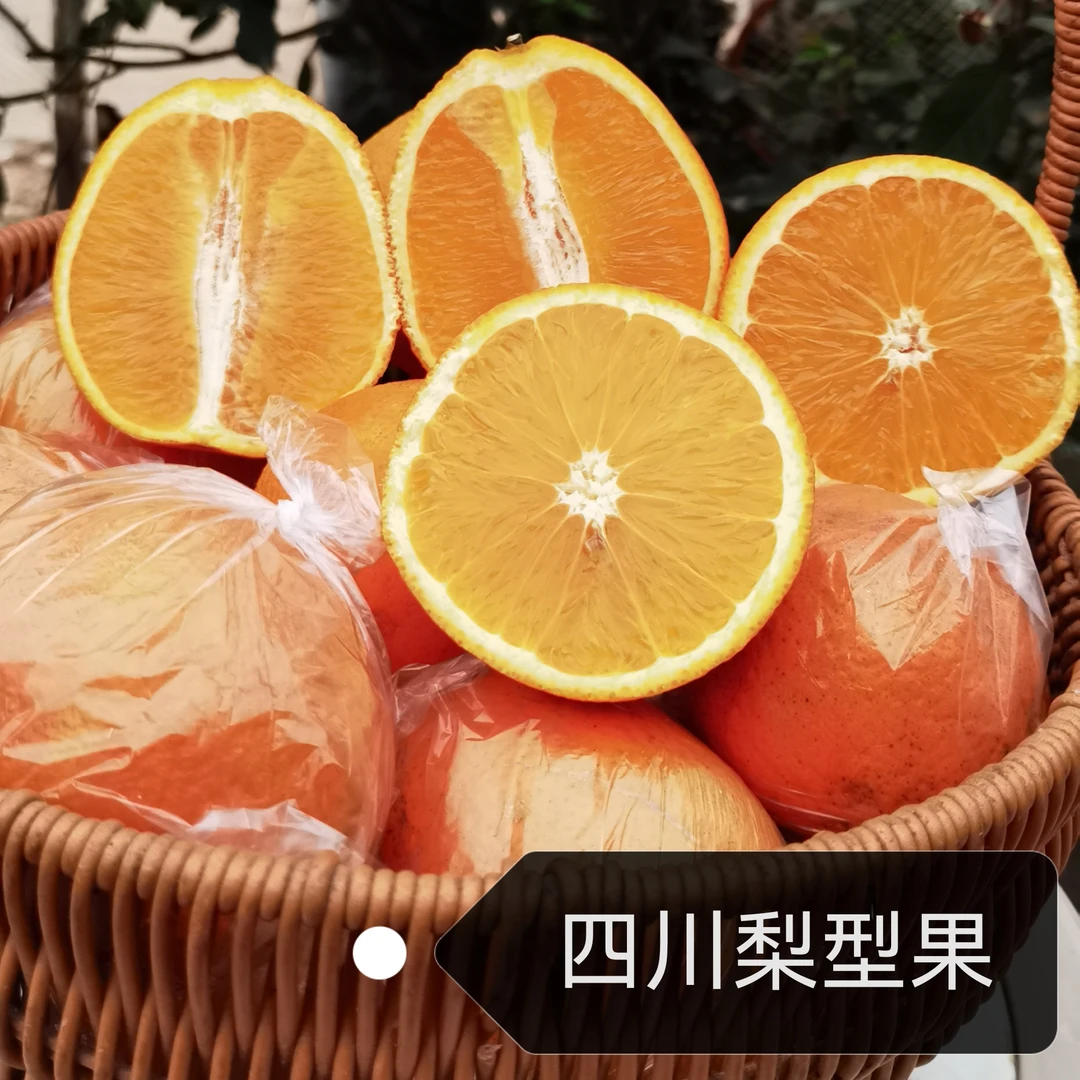 四川安岳梨型果 酷似梨子的水果