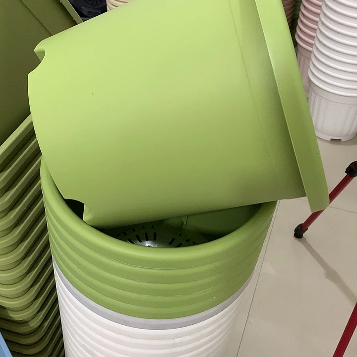 四季口29高28果绿6个无托