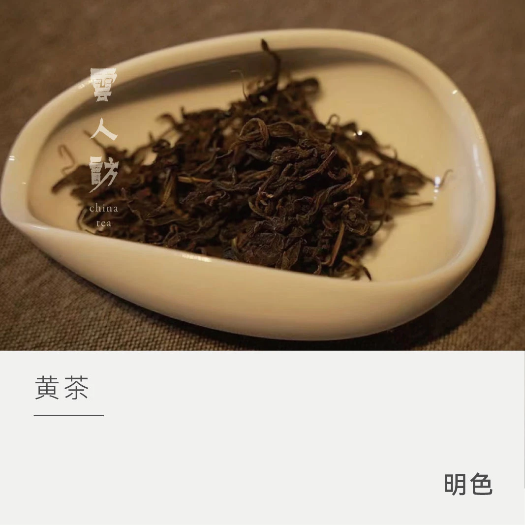 【云人访】雲鹤 茶叶黄茶 莫干黄茶 明色 2025年