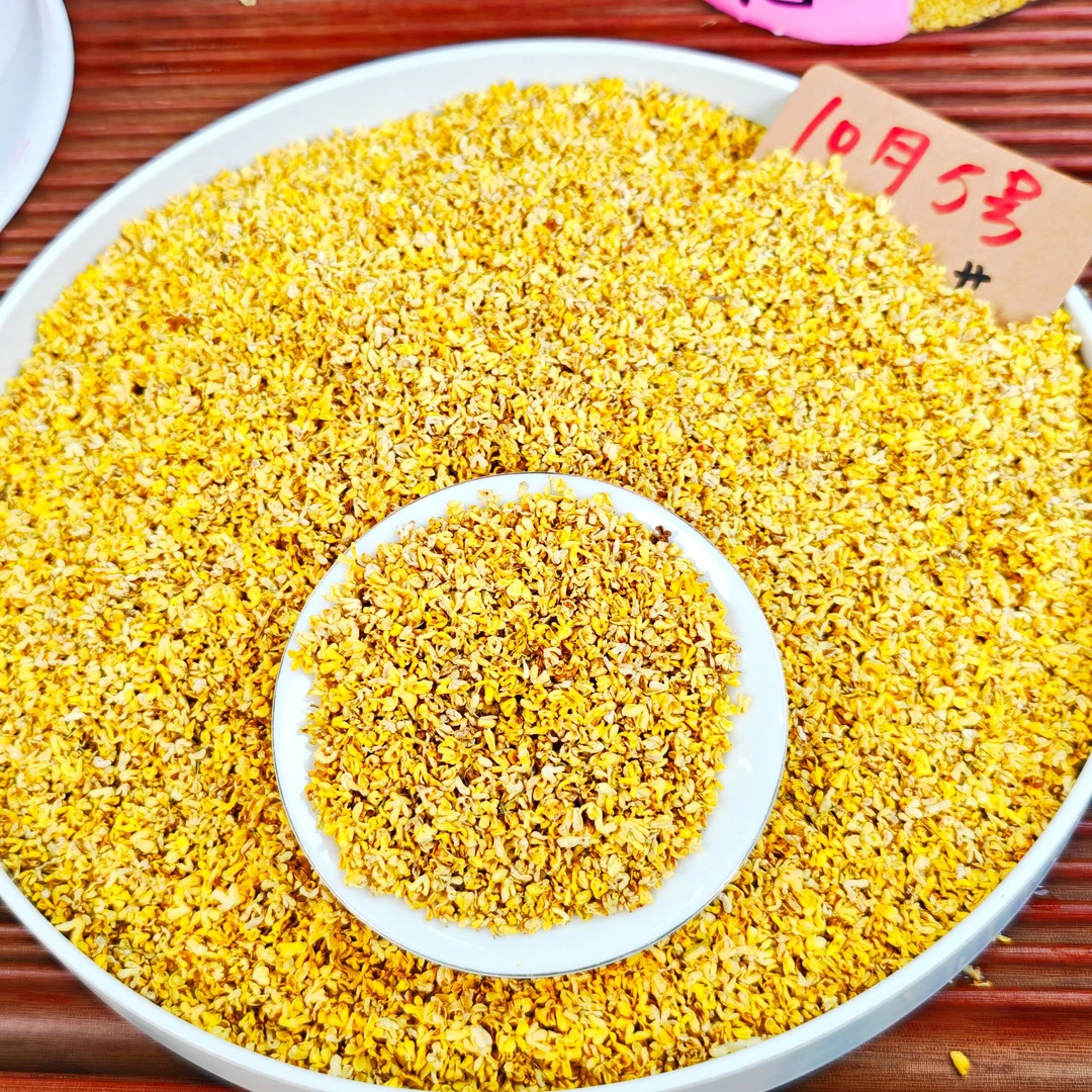 2025冻干金桂花 秋季新花上市 广西桂林核心产区  冬青收茶