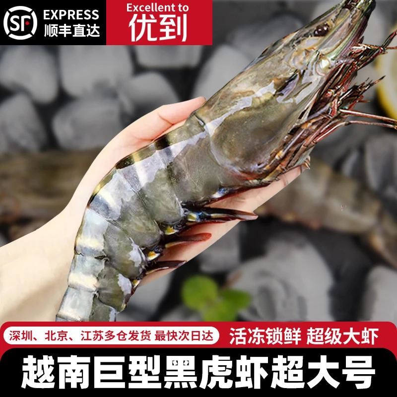 年货超大黑虎虾越南进口鲜活冻巨型黑虎虾冷冻大虾年夜饭新年礼盒