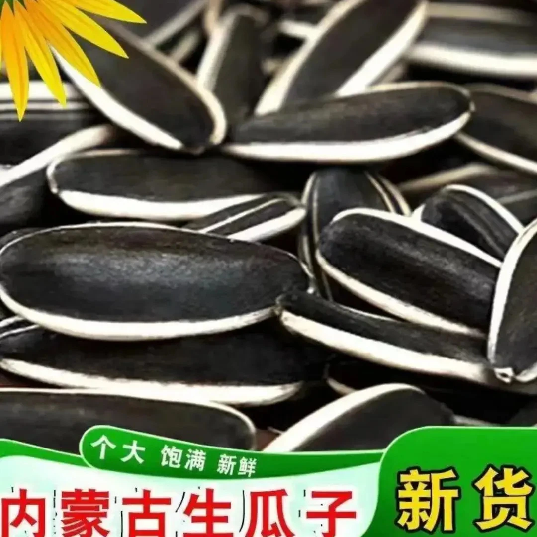 【买一斤送一斤】原味生瓜子大颗粒现货皮薄易壳今年新货