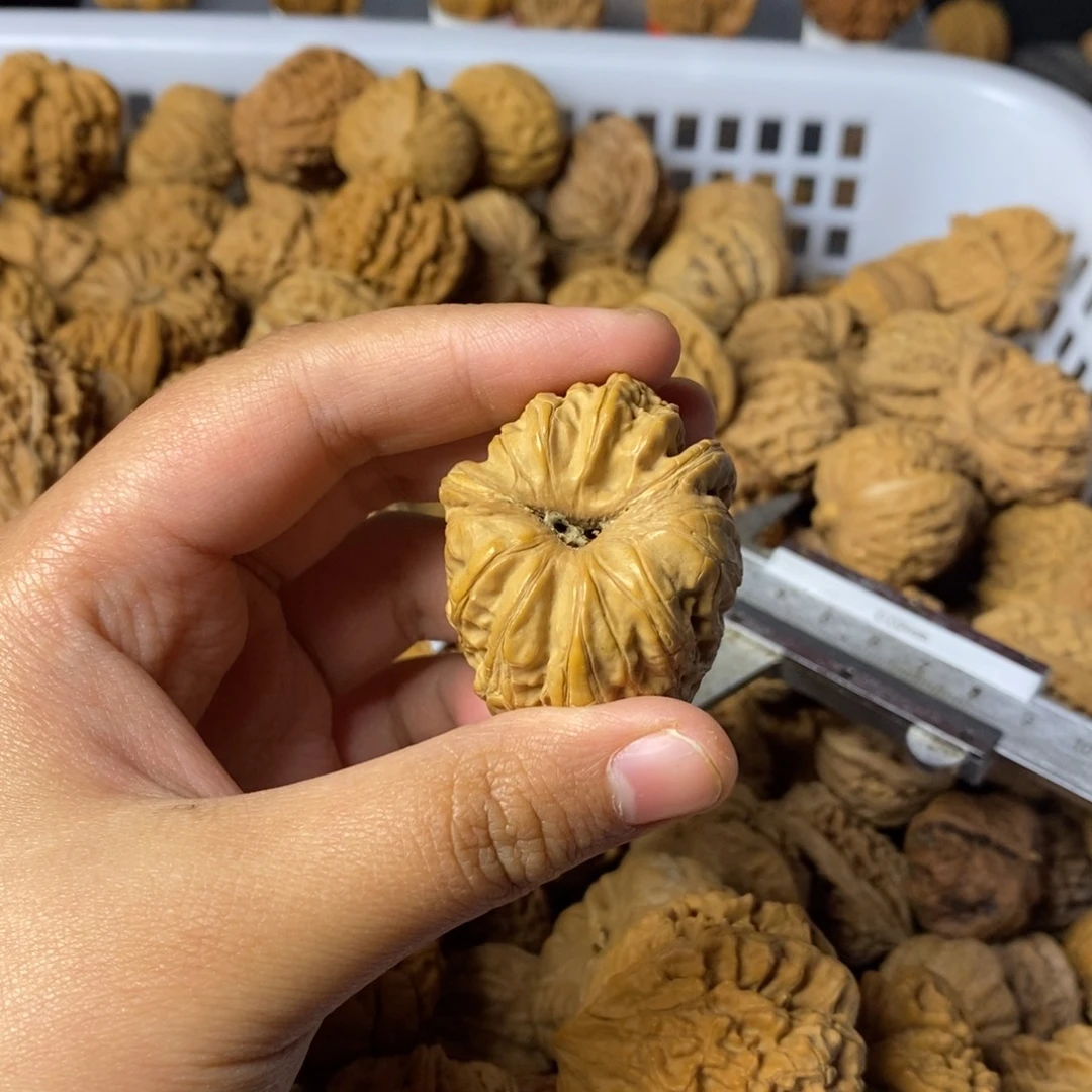 *****大叶紫檀（黑酸枝木类）