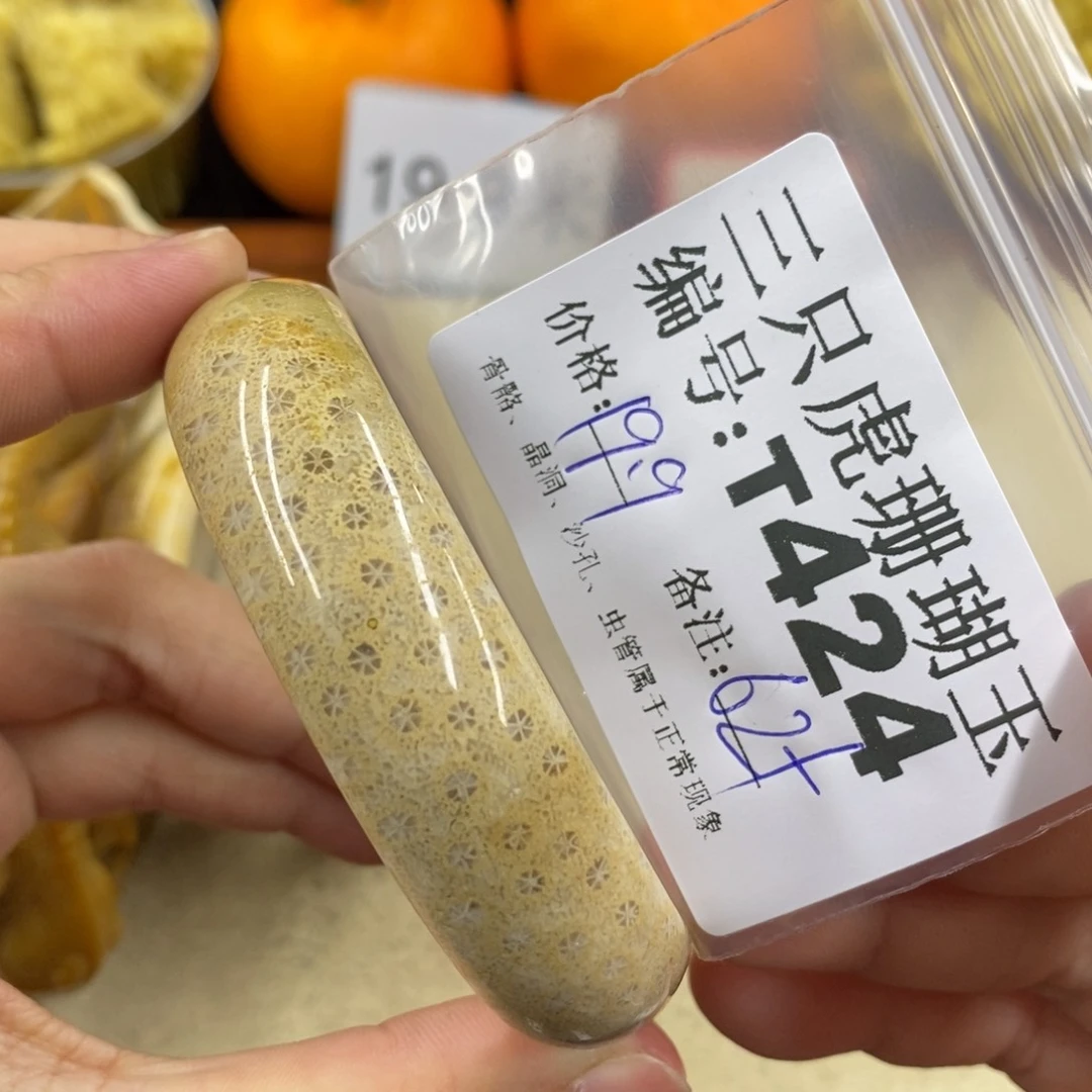 硅化珊瑚（珊瑚玉）1未镶嵌?****