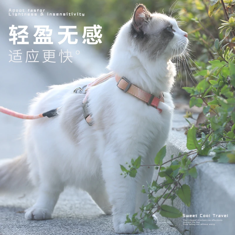 猫咪牵引绳遛猫绳防挣脱猫绳子网红外出神器链子猫咪专用猫背带