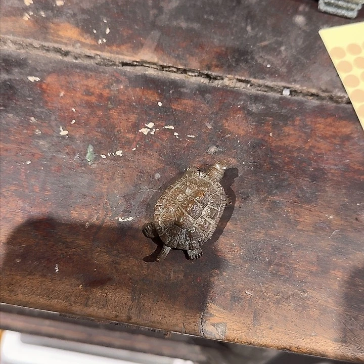 茶空间设计摆件摆件