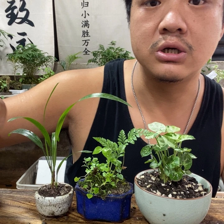 无花朵退款拉黑拉黑20