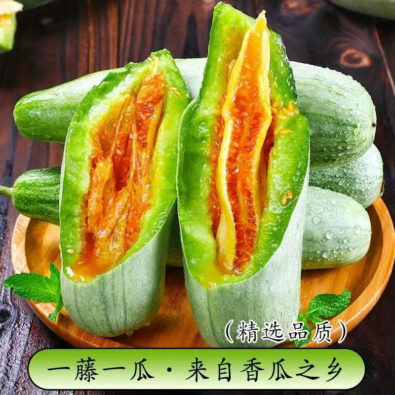 25年新品羊角蜜新鲜头茬山东特产原产地直发脆甜多汁现摘现发
