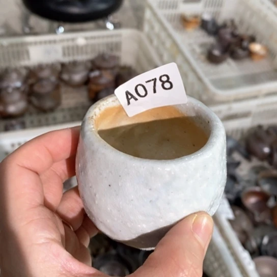 福利多多福利多多