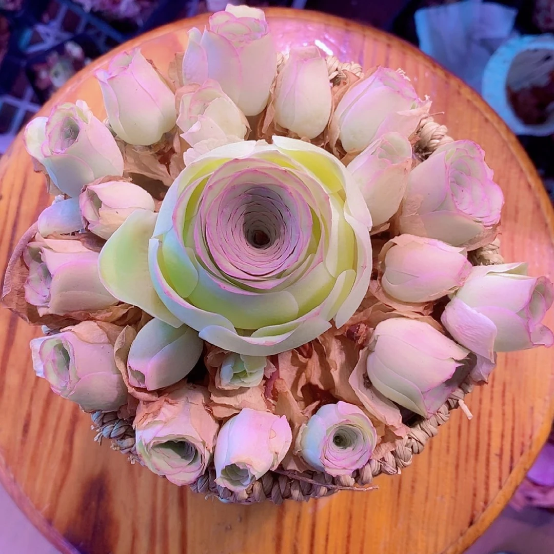 勿忘我母本一物一拍003