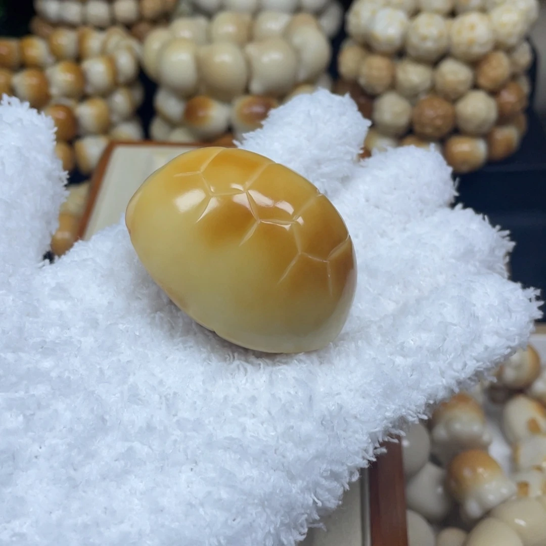 手串菩提根/象牙果12.29.1富甲把件