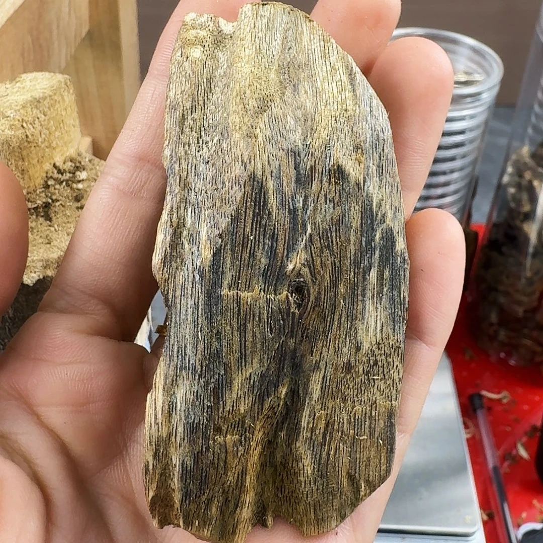 香料绿奇楠虫漏白棋17克