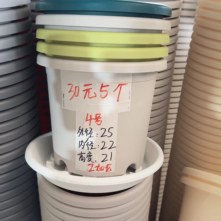 四季4#口径25灰白8个无托