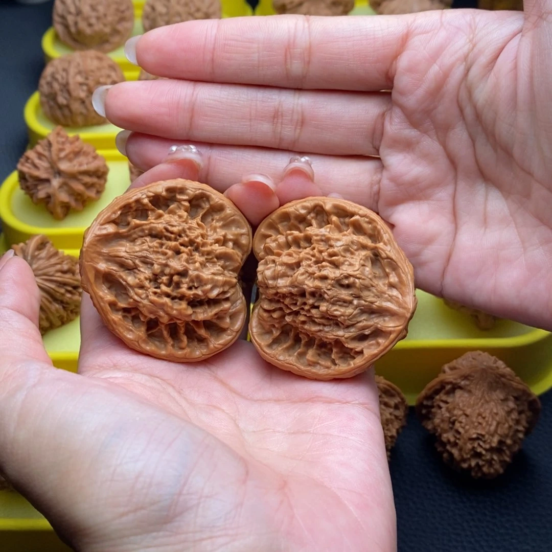 把件文玩核桃蛇头聚宝盆44尺头茬果10