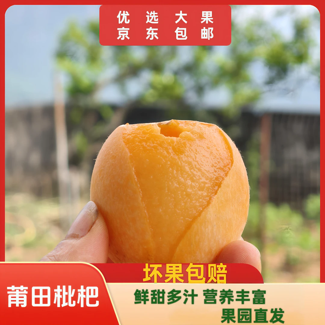 【表嫂专属】莆田枇杷解放钟正宗华亭宫利高山果园直发新鲜水果