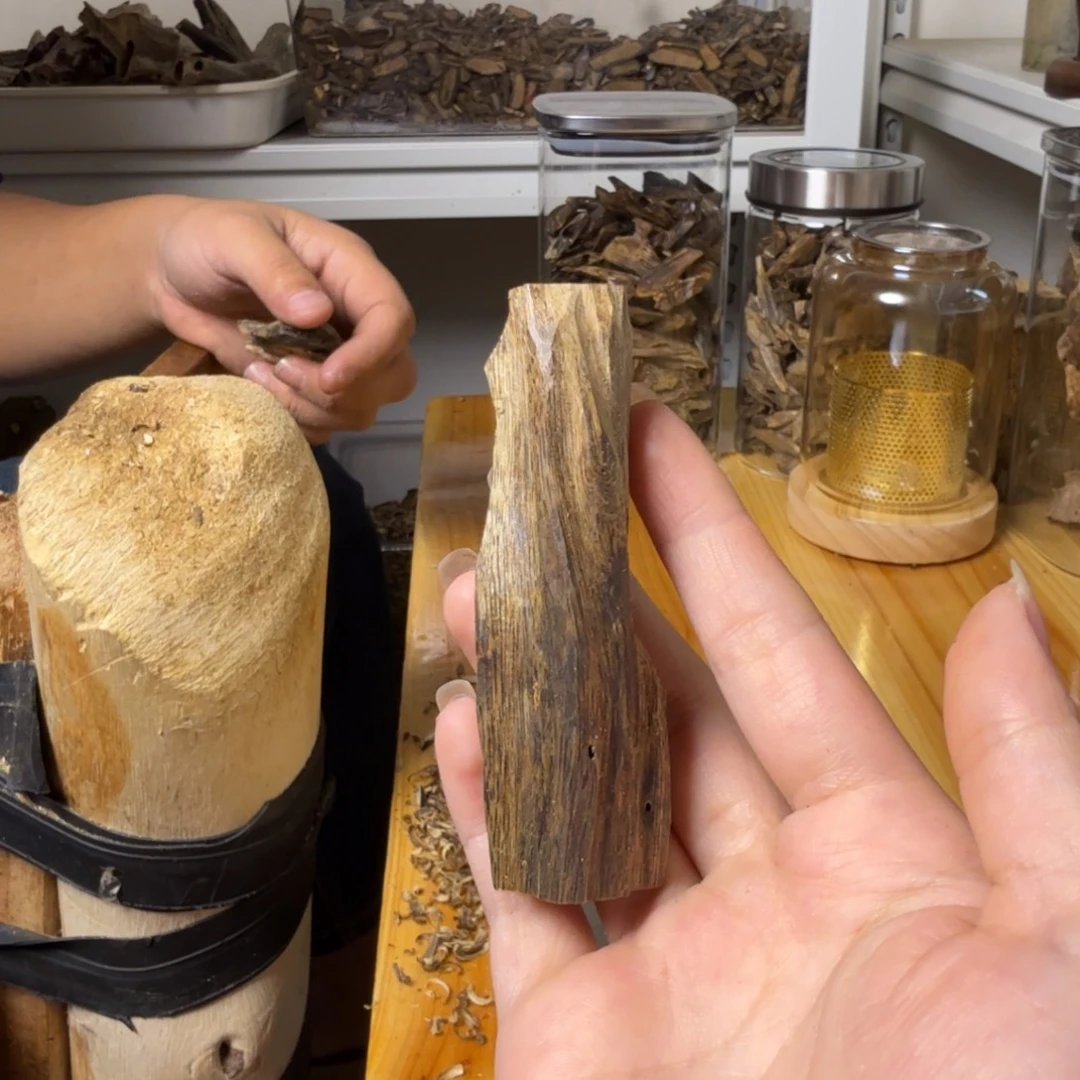 沉香白奇虫漏香8.5克