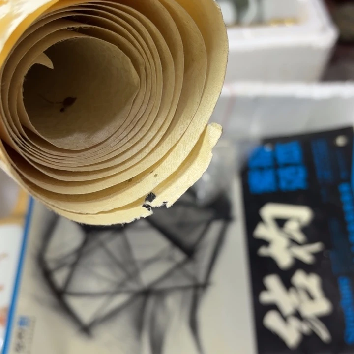 鸿***1民俗怪闻录之诡戏班