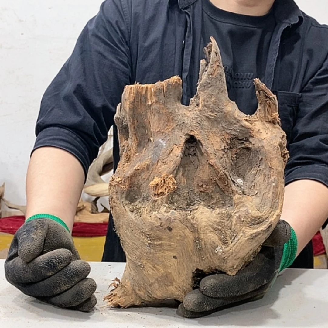 【闪购商品】柏木精****》我们都是好孩子