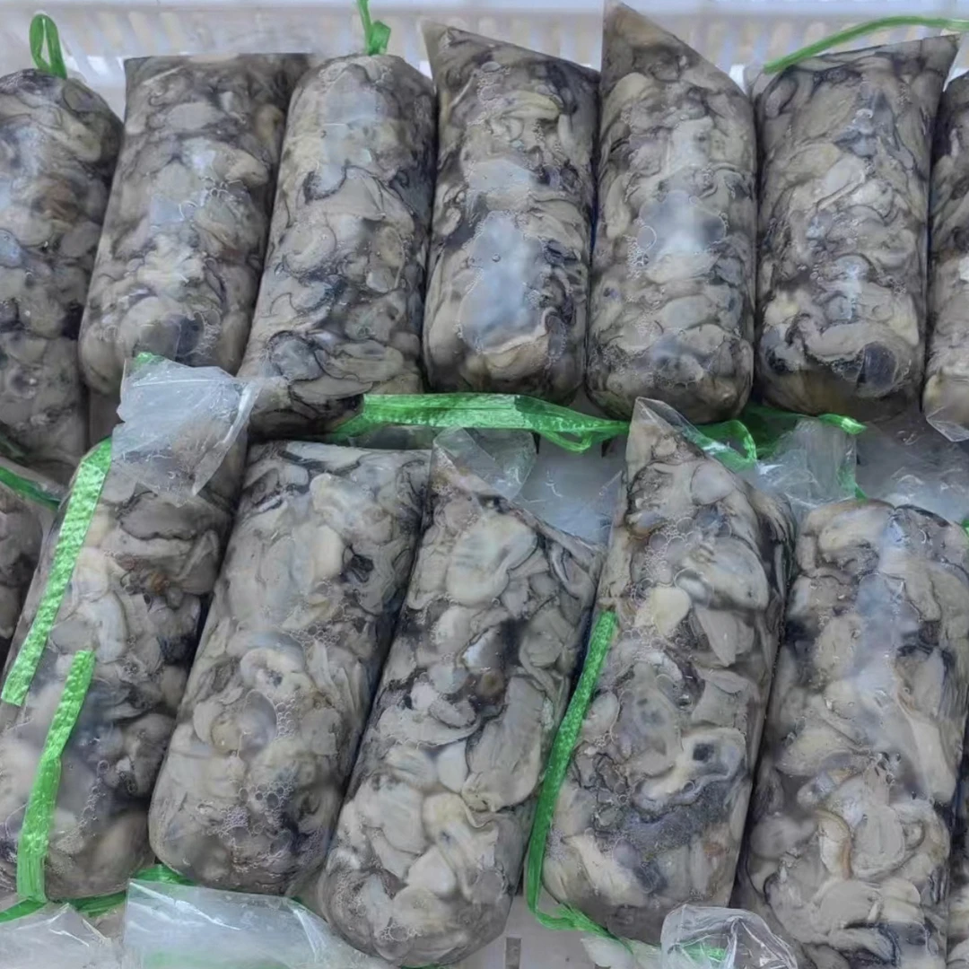 莆田海蛎与哆头蛏现挖不泡水