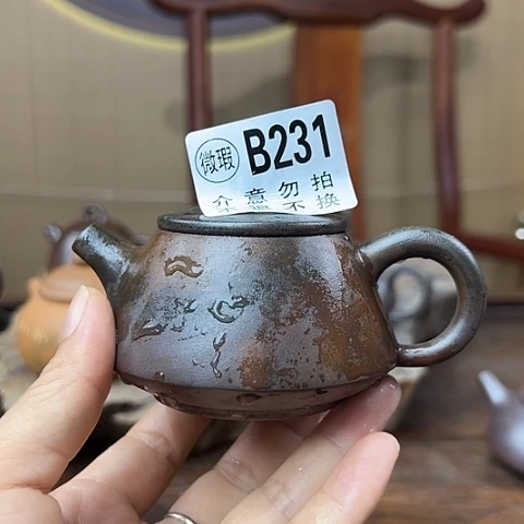 戬谷龙窑柴烧茶壶231
