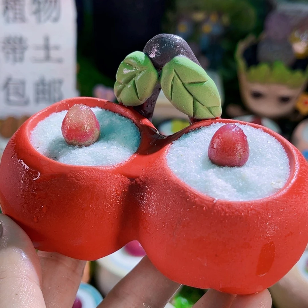 034灯泡连盆带土包邮