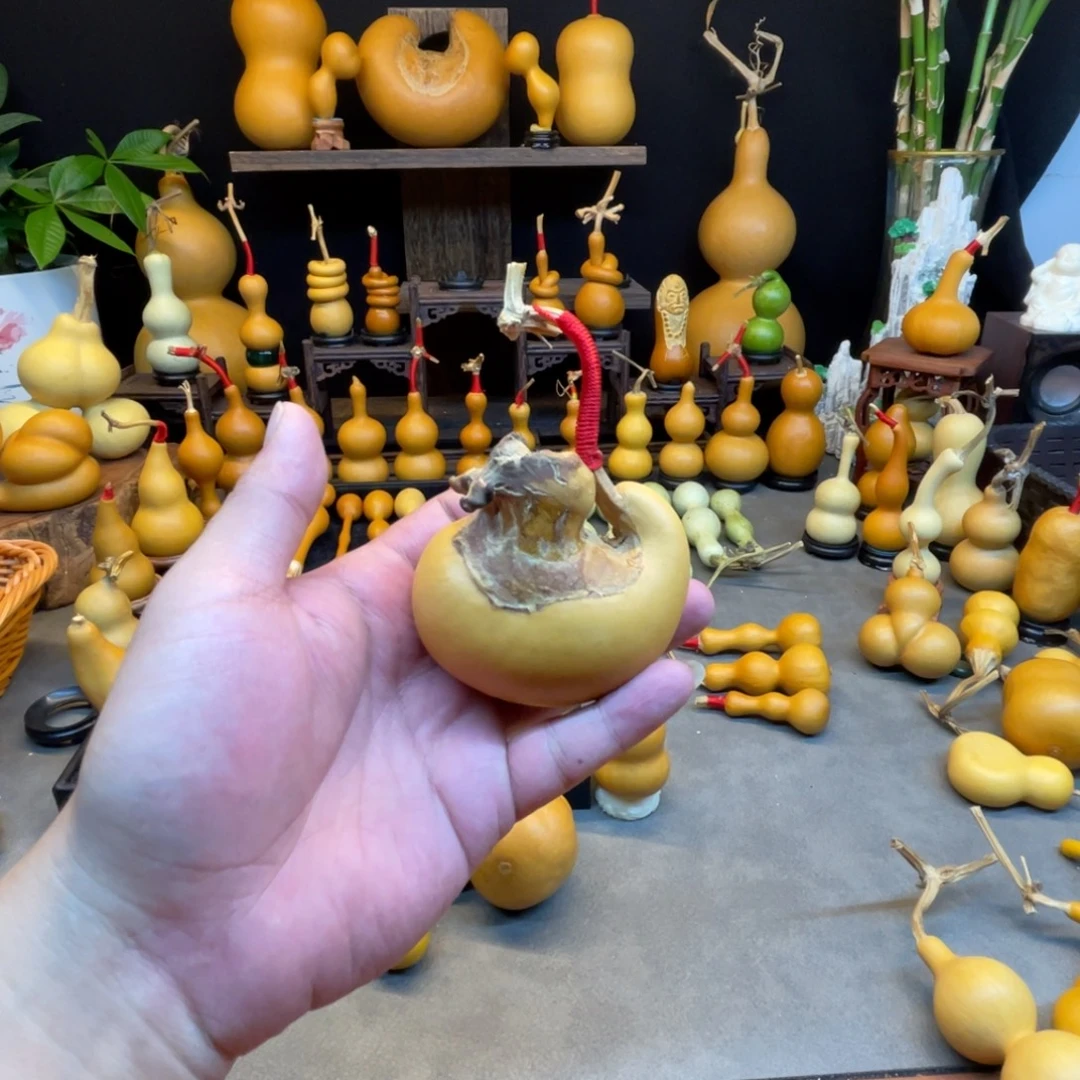 麦***师柒寶直播专属链接