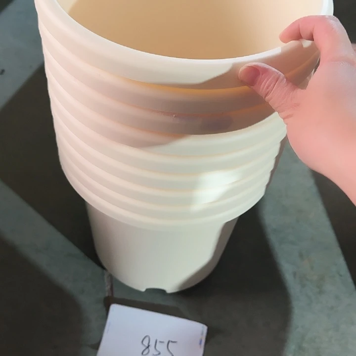 编号855瑕疵9个无托