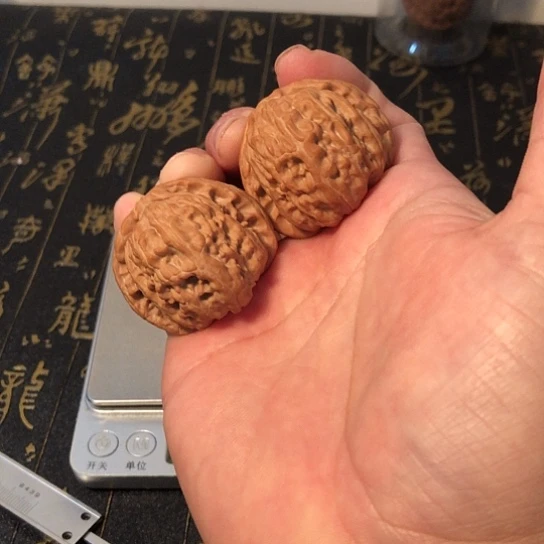 s***d文玩核桃把件白狮子39