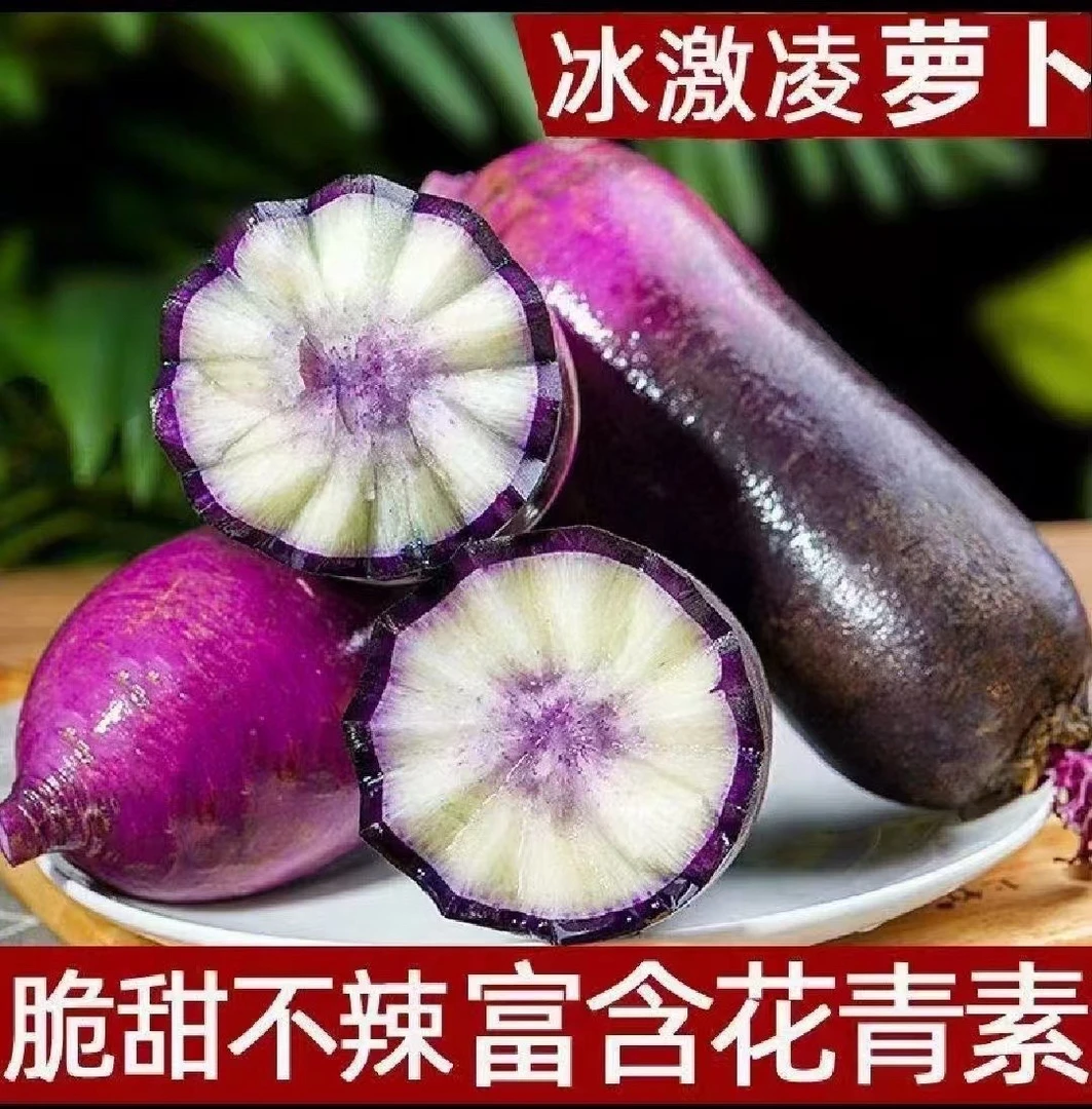 潍坊新鲜冰淇淋萝卜生吃脆甜爽口水果萝卜(礼盒装)