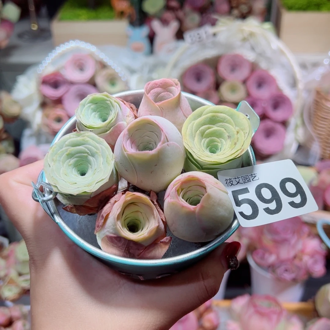 599新粉福利铁皮桶组合。