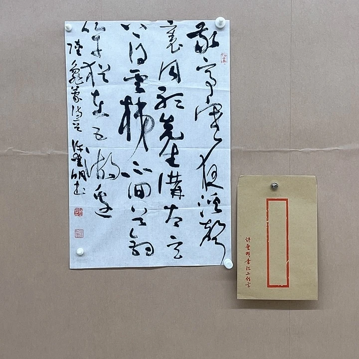 书法许爱明45*68㎝江苏  两届届展