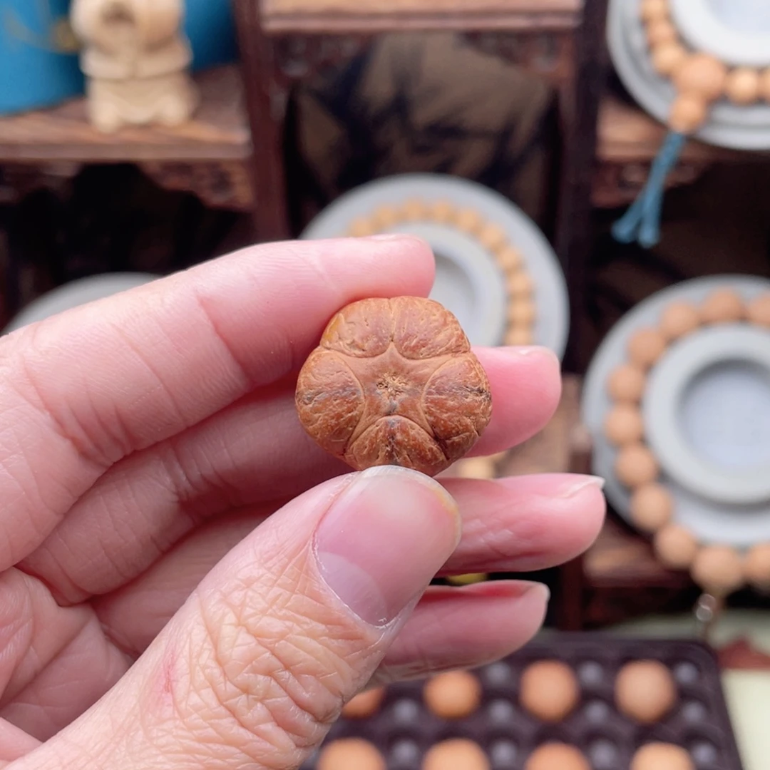 吊坠凤眼菩提风****方五星