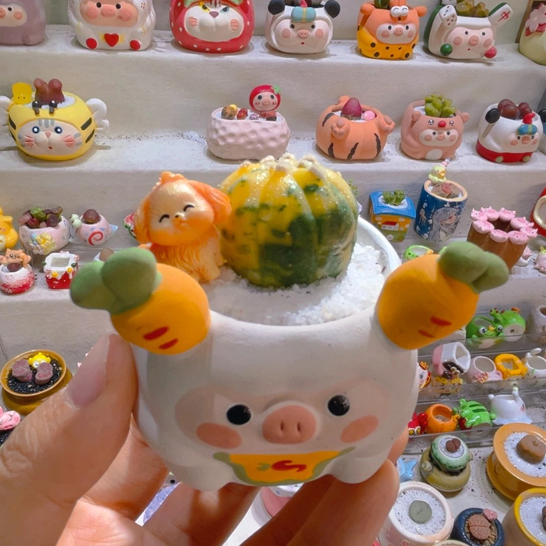 001兜锦带盆土一套58