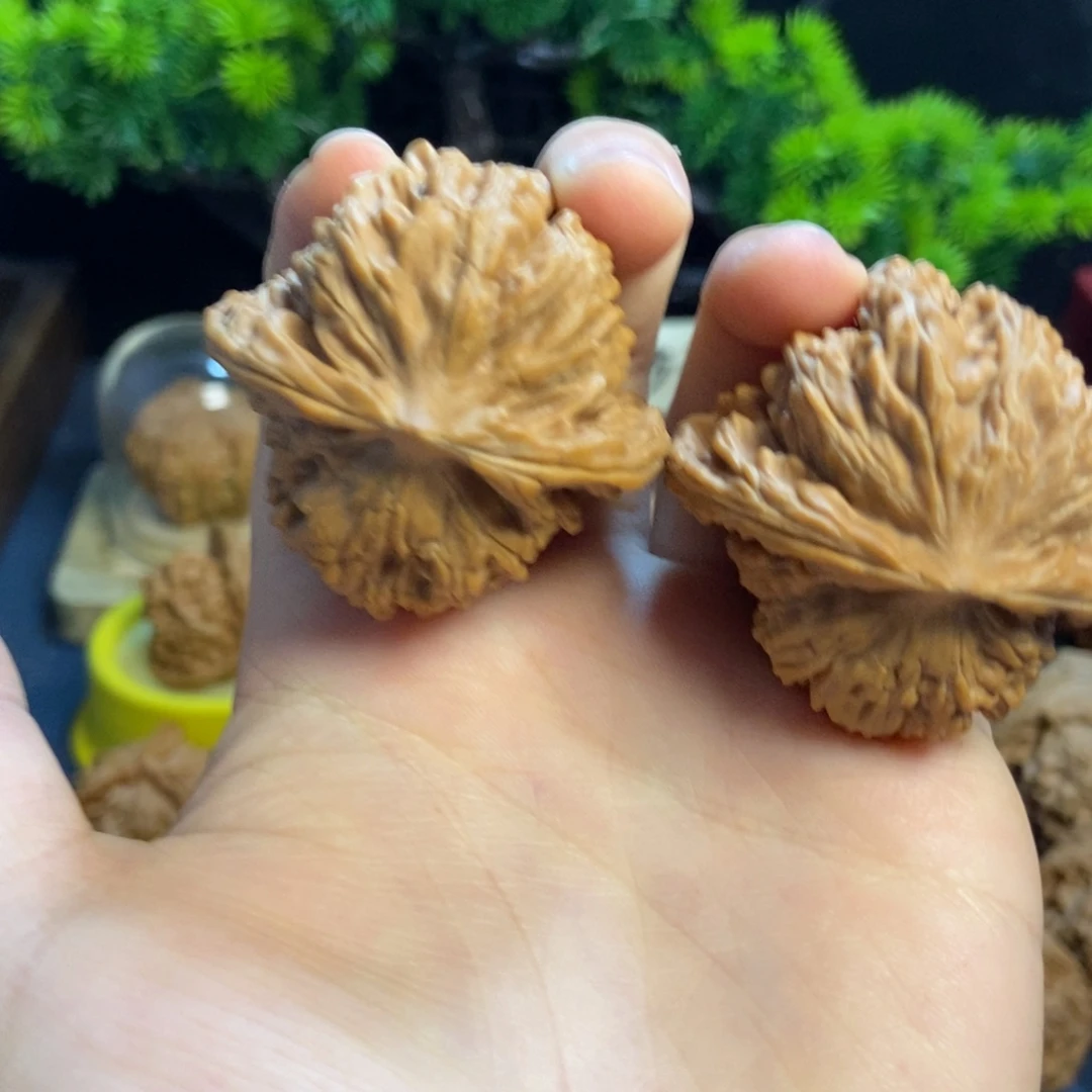 核桃核桃把件文玩13