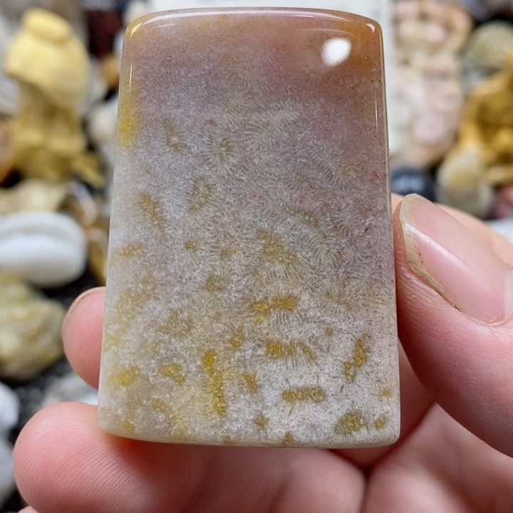 颈饰未镶嵌硅化珊瑚（珊瑚玉）