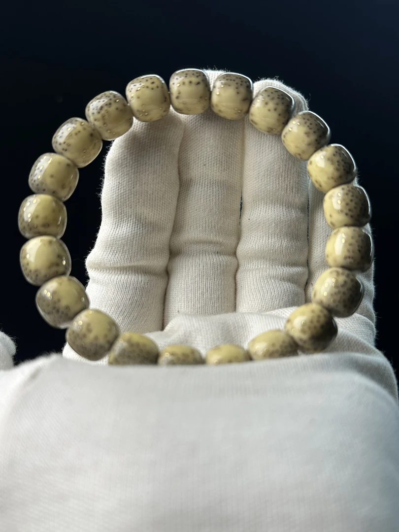 『杰作』11*10 大尺寸绿背河豚 小细星 600金星头条单圈 文玩高货