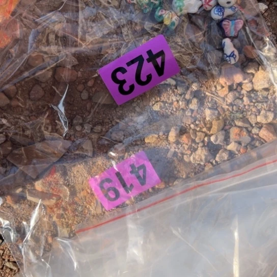 1***人杂色豆（科檀/科特迪瓦檀木）