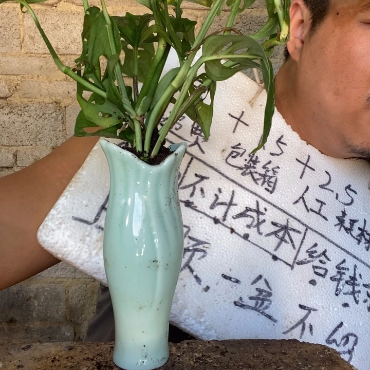 退款拉黑一物一拍238