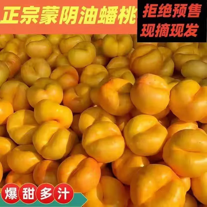 彩虹油蟠桃新鲜应季现摘甜嫩多汁皮薄水果