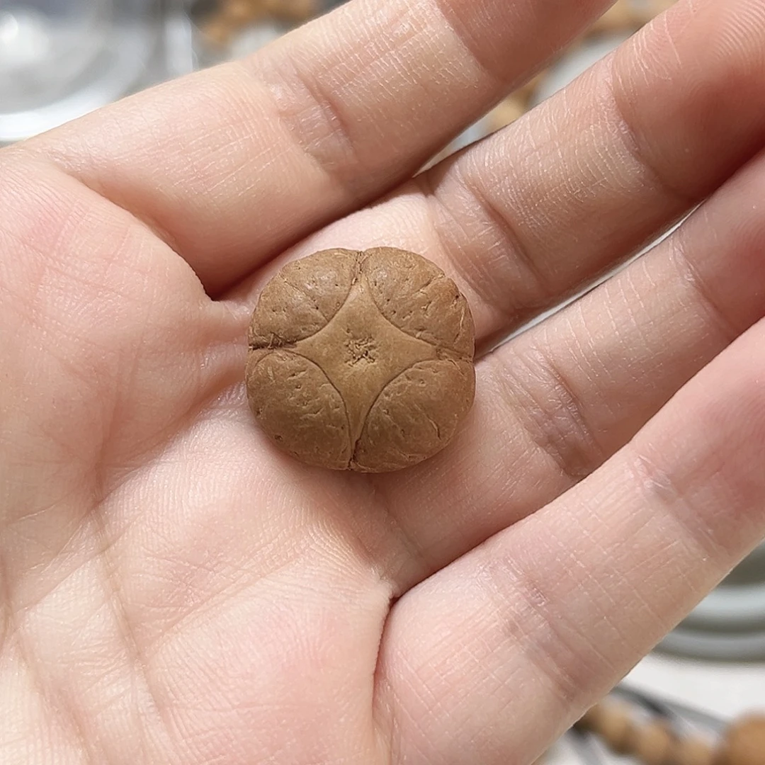 吊坠凤眼菩提20麒麟单籽，86@2796