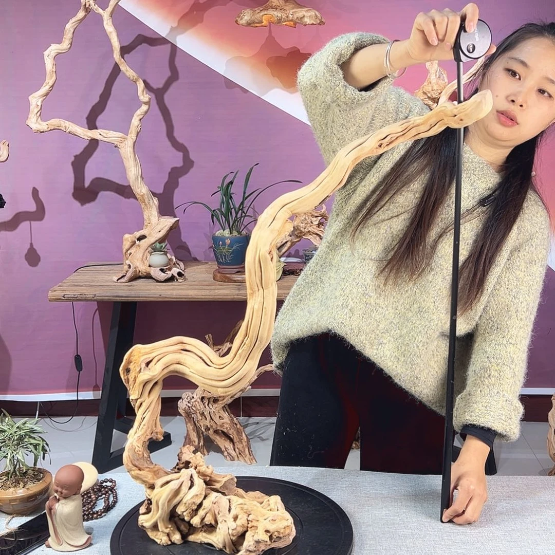 ****强木天然杜鹃根根艺摆件