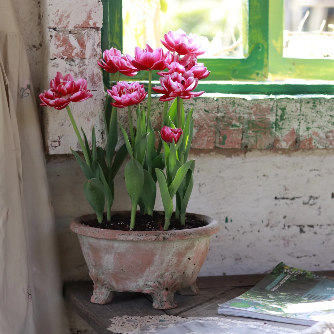 手工红陶郁金香花盆 百搭复古 外口26*高14 内口22