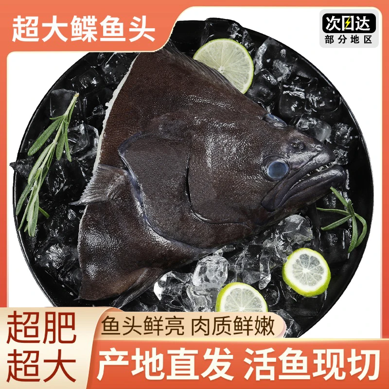 【格陵兰碟鱼头】新鲜深海鱼比目鱼鸦片鱼头海鲜水产冷冻大号