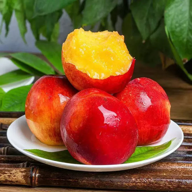 【平谷鲜桃】现摘现发麻点红油桃（2斤送1斤 3斤送2斤）当季新鲜水果桃子北京市