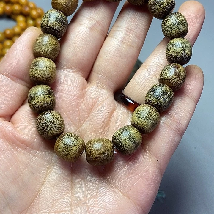 大果紫檀（缅甸花梨）